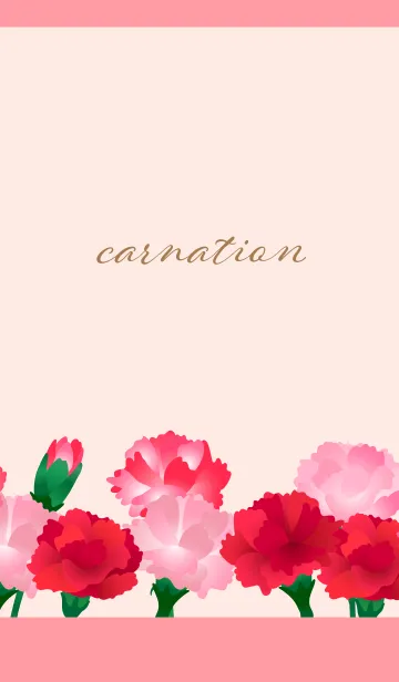 [LINE着せ替え] カーネーション 薄いピンクの画像1