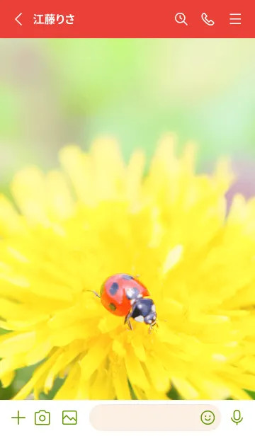 [LINE着せ替え] Ladybird Symbol of good luck #3-21の画像2