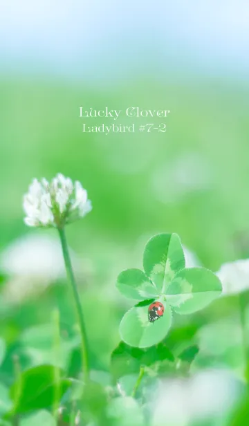 [LINE着せ替え] 四つ葉のクローバーとテントウムシ #7-2の画像1