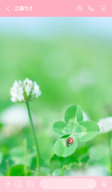 [LINE着せ替え] 四つ葉のクローバーとテントウムシ #7-2の画像2