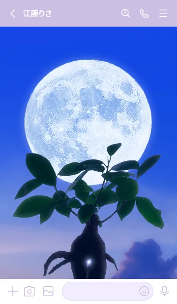 [LINE着せ替え] 多幸の木と満月 #1-14の画像2