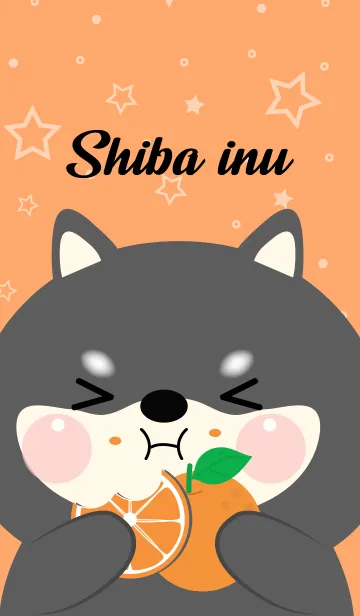 [LINE着せ替え] Black Shiba Inu Love Orange Theme (JP)の画像1