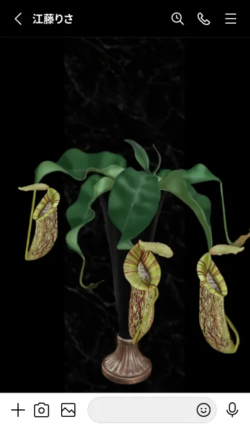[LINE着せ替え] Nepenthes Dyerianaの画像2