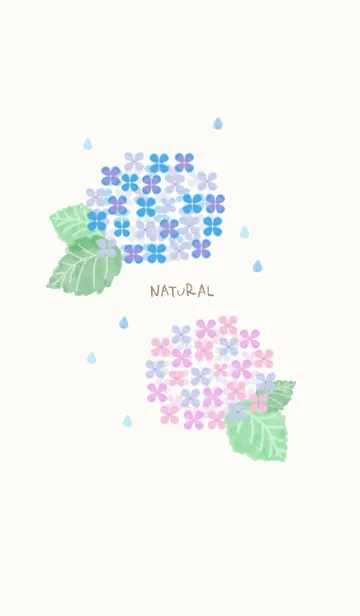 [LINE着せ替え] あじさい 水彩14の画像1
