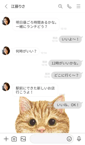 [LINE着せ替え] ICON CAT - マンチカン - GRAY/01の画像3