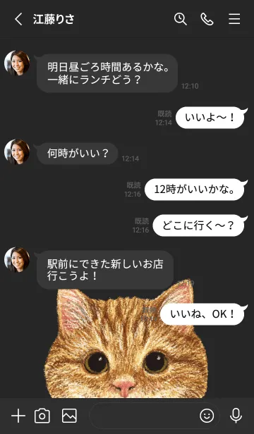 [LINE着せ替え] ICON CAT - マンチカン - BLACK/01の画像3