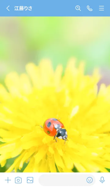 [LINE着せ替え] Ladybird Symbol of good luck #3-22の画像2