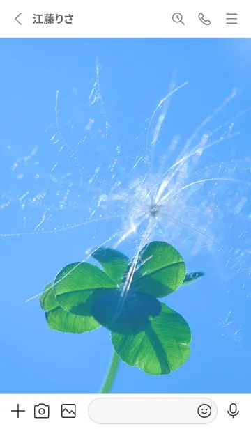 [LINE着せ替え] ケサランパサラン&七つ葉クローバー #1-5の画像2