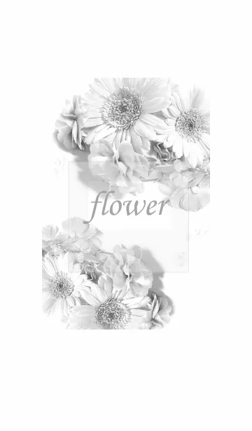 [LINE着せ替え] 優しい幸せに包まれるガーベラの花・18の画像1