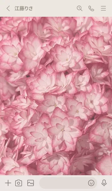 [LINE着せ替え] hydrangea (Ajisai)30の画像2