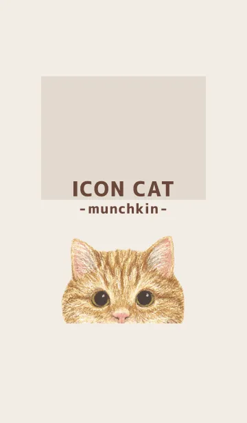 [LINE着せ替え] ICON CAT - マンチカン - BROWN/01の画像1