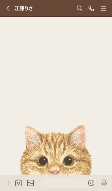 [LINE着せ替え] ICON CAT - マンチカン - BROWN/01の画像2