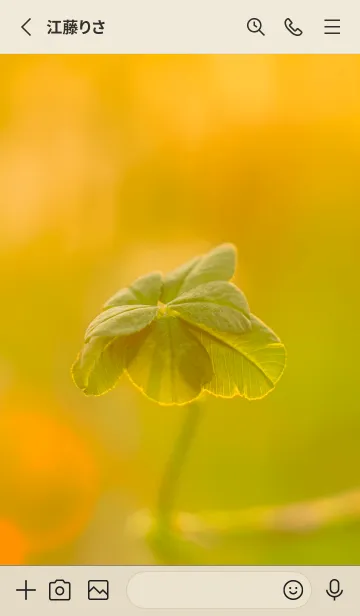 [LINE着せ替え] 七つ葉のクローバー 無限の幸福 #4-6の画像2