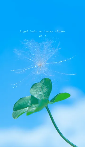 [LINE着せ替え] 幸運の妖精ケサランパサラン #7-3の画像1