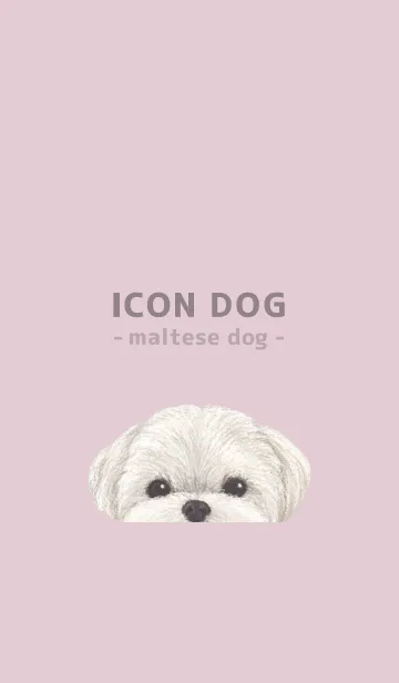 [LINE着せ替え] ICON DOG - マルチーズ - PASTEL PK/01の画像1