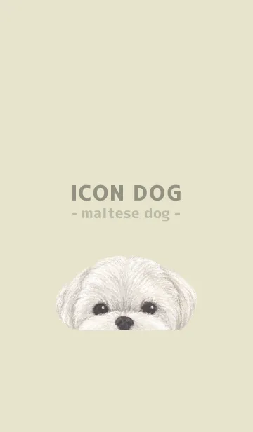 [LINE着せ替え] ICON DOG - マルチーズ - PASTEL YE/01の画像1