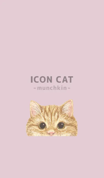 [LINE着せ替え] ICON CAT - マンチカン - PASTEL PK/01の画像1