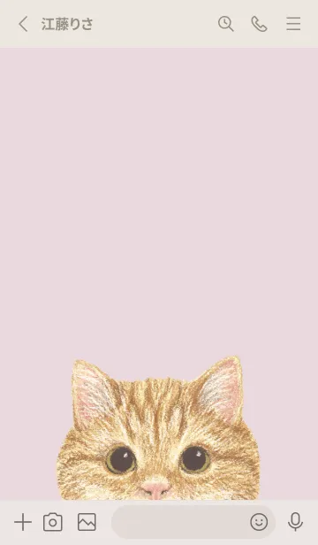 [LINE着せ替え] ICON CAT - マンチカン - PASTEL PK/01の画像2