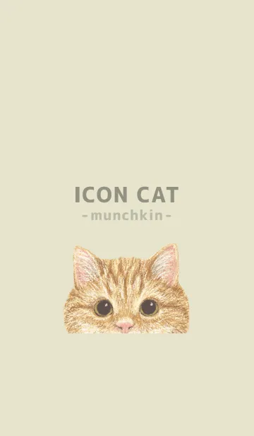 [LINE着せ替え] ICON CAT - マンチカン - PASTEL YE/01の画像1