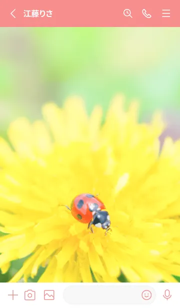 [LINE着せ替え] Ladybird Symbol of good luck #3-23の画像2