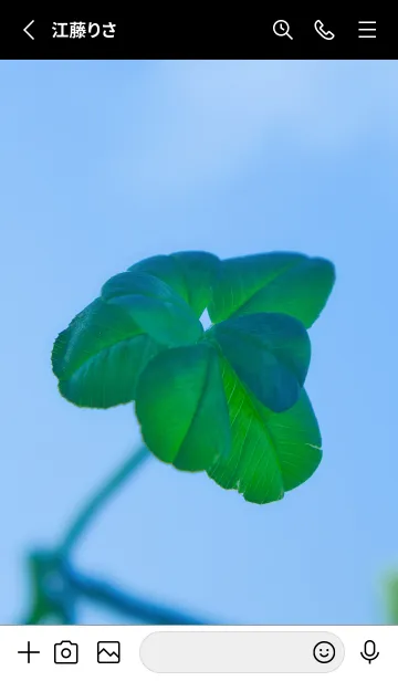 [LINE着せ替え] 七つ葉のクローバー 無限の幸福 #9-6の画像2