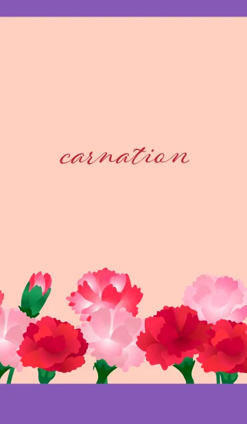 [LINE着せ替え] カーネーション 紫色の画像1