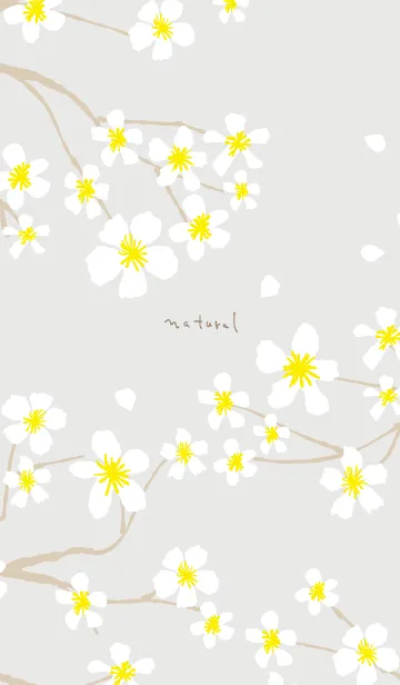 [LINE着せ替え] 白い花咲く グレー5の画像1