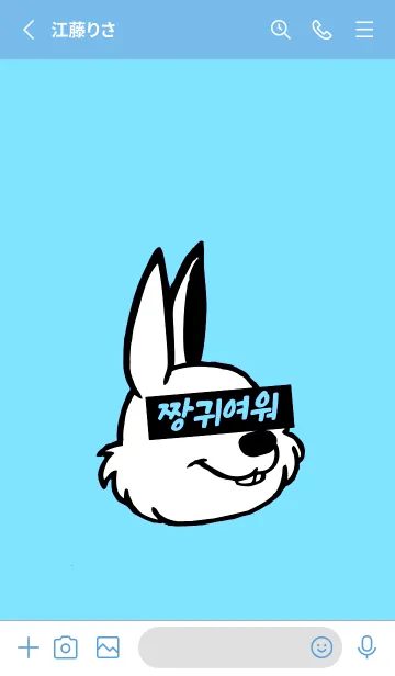 [LINE着せ替え] 韓国 ラビット 40の画像2
