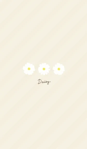 [LINE着せ替え] シンプル マーガレット14の画像1