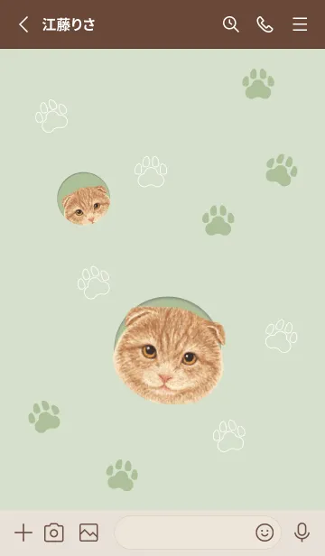 [LINE着せ替え] CAT - スコティッシュ 01 - GREENの画像2