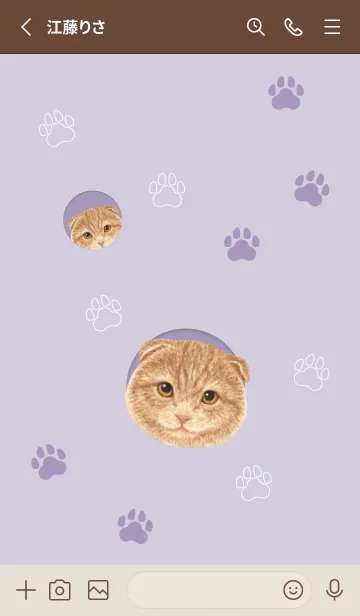 [LINE着せ替え] CAT - スコティッシュ 01 - PURPLEの画像2