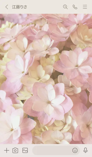 [LINE着せ替え] AJISAI-Natural Flower 16の画像2