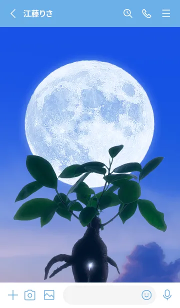 [LINE着せ替え] 多幸の木と満月 #1-16の画像2