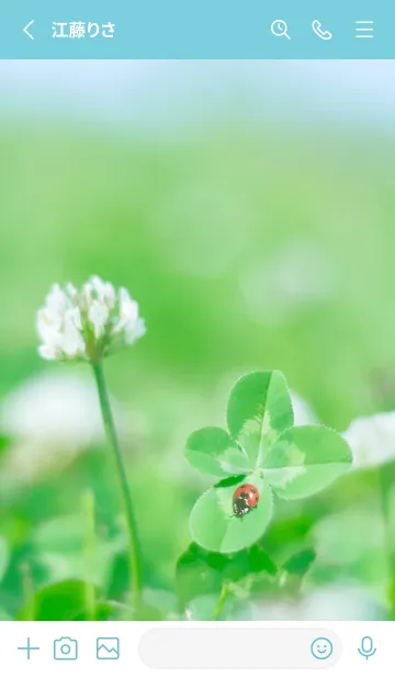 [LINE着せ替え] 四つ葉のクローバーとテントウムシ #7-5の画像2