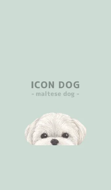 [LINE着せ替え] ICON DOG - マルチーズ - PASTEL GR/01の画像1