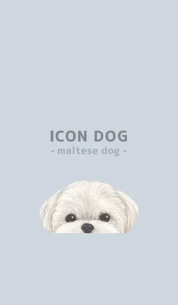 [LINE着せ替え] ICON DOG - マルチーズ - PASTEL BL/01の画像1