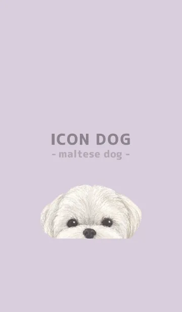 [LINE着せ替え] ICON DOG - マルチーズ - PASTEL PL/01の画像1