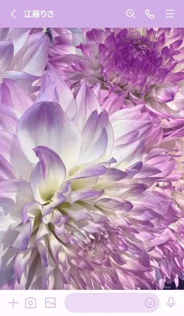 [LINE着せ替え] DAHLIA-Purple Flower 52の画像2