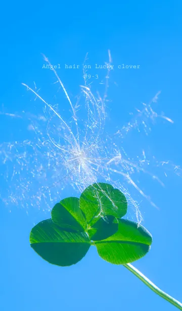 [LINE着せ替え] 幸運の妖精ケサランパサラン #9-3の画像1