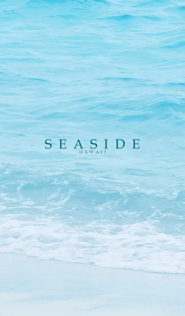 [LINE着せ替え] SEASIDE-HAWAII.MEKYM 39の画像1