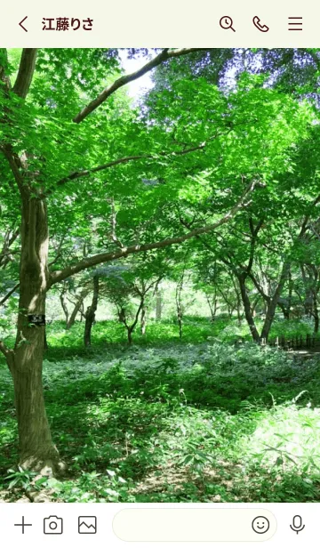 [LINE着せ替え] TREE OF THE SUMMER-MEKYM 12の画像2