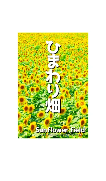 ひまわり畑 - Sunflower field- #1Bの着せ替えメイン画像