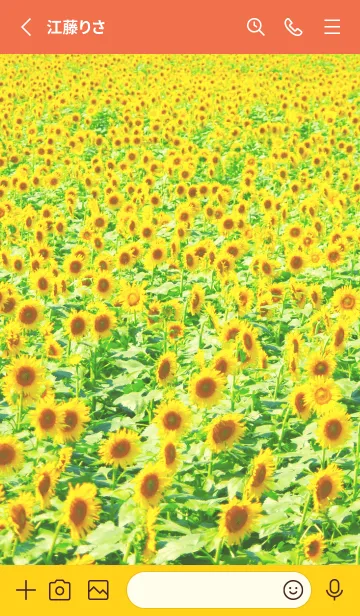 [LINE着せ替え] ひまわり畑 - Sunflower field- #1Bの画像2