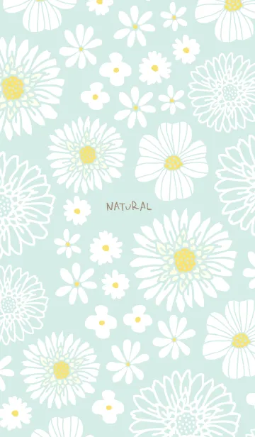 [LINE着せ替え] 色々な白い花14の画像1