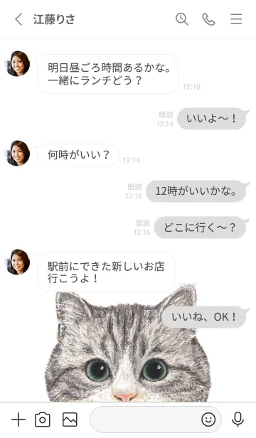 [LINE着せ替え] ICON CAT - マンチカン - GRAY/02の画像3