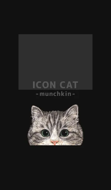 [LINE着せ替え] ICON CAT - マンチカン - BLACK/02の画像1