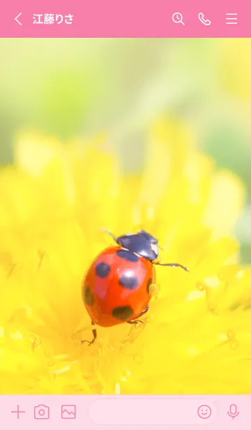 [LINE着せ替え] Ladybird Symbol of good luck #1-24の画像2