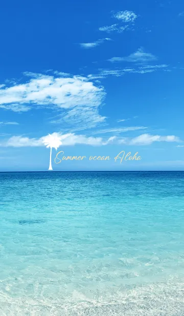[LINE着せ替え] Summer ocean Aloha.61の画像1