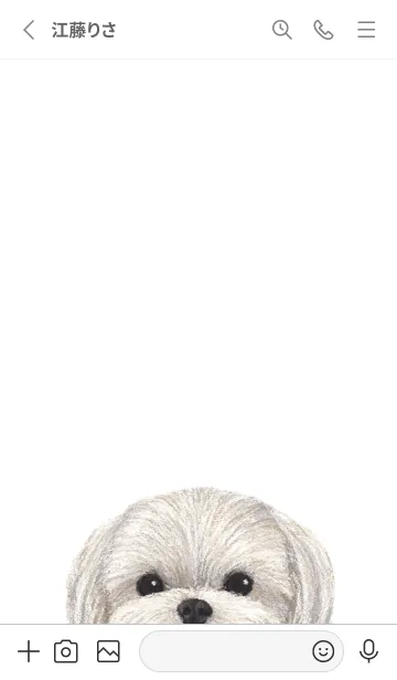 [LINE着せ替え] ICON DOG - マルチーズ - GRAY/02の画像2