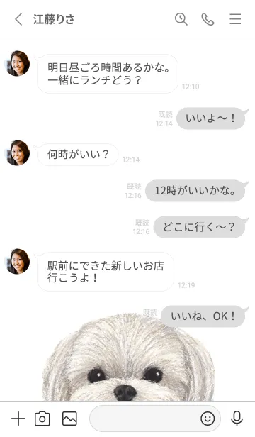 [LINE着せ替え] ICON DOG - マルチーズ - GRAY/02の画像3